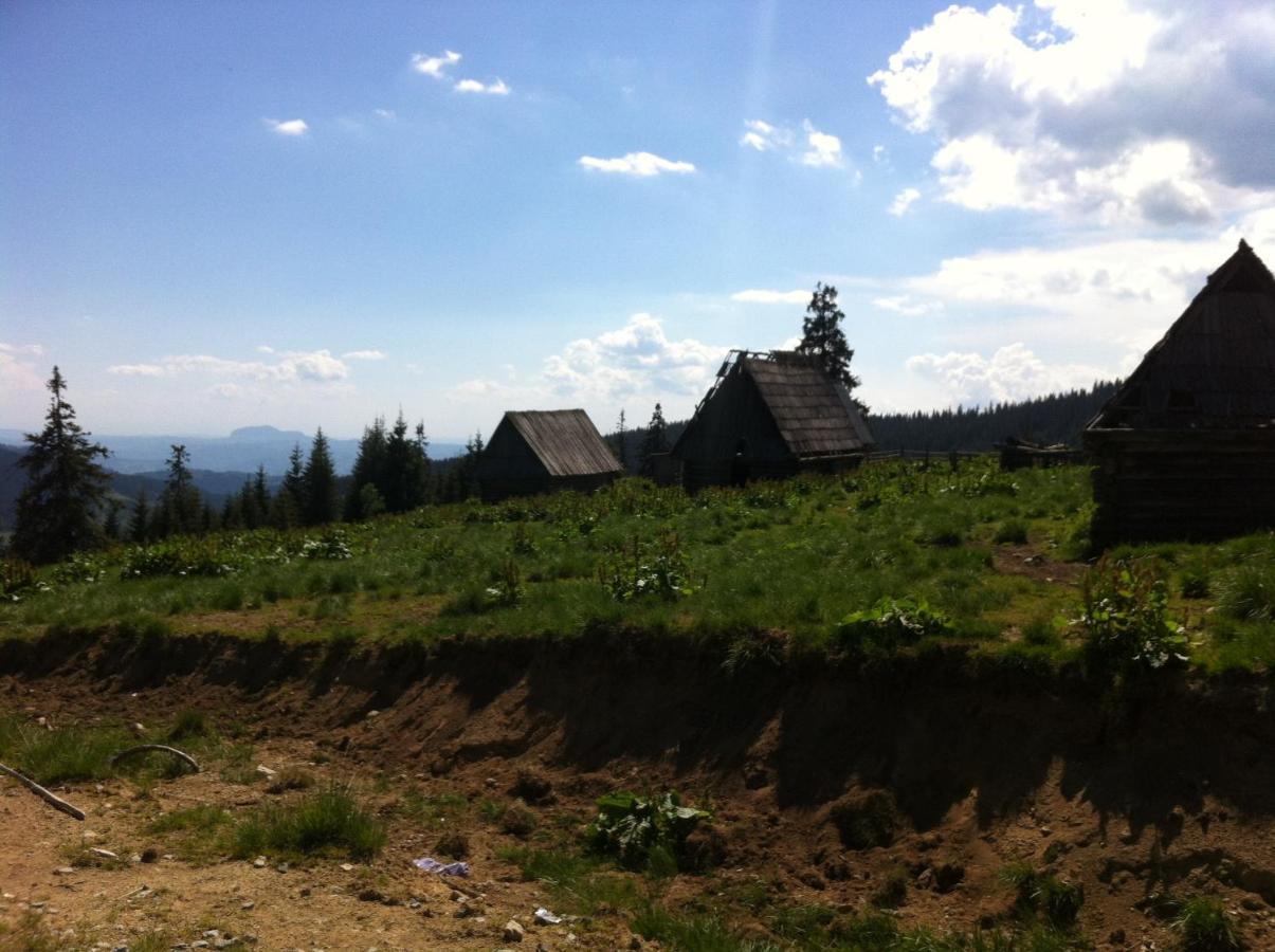 Pensiunea Skiland Muntele Baisorii Exterior foto